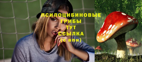 apvp Протвино