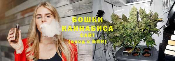 ПСИЛОЦИБИНОВЫЕ ГРИБЫ Баксан
