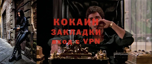 ПСИЛОЦИБИНОВЫЕ ГРИБЫ Баксан
