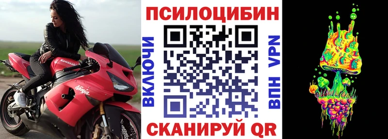 ссылка на мегу вход  Орлов  Псилоцибиновые грибы MAGIC MUSHROOMS  цены  