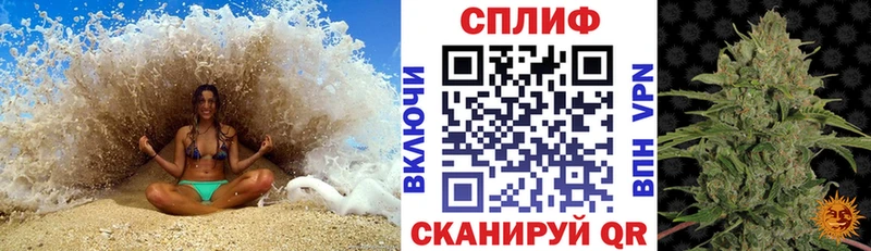 Конопля конопля  Орлов 